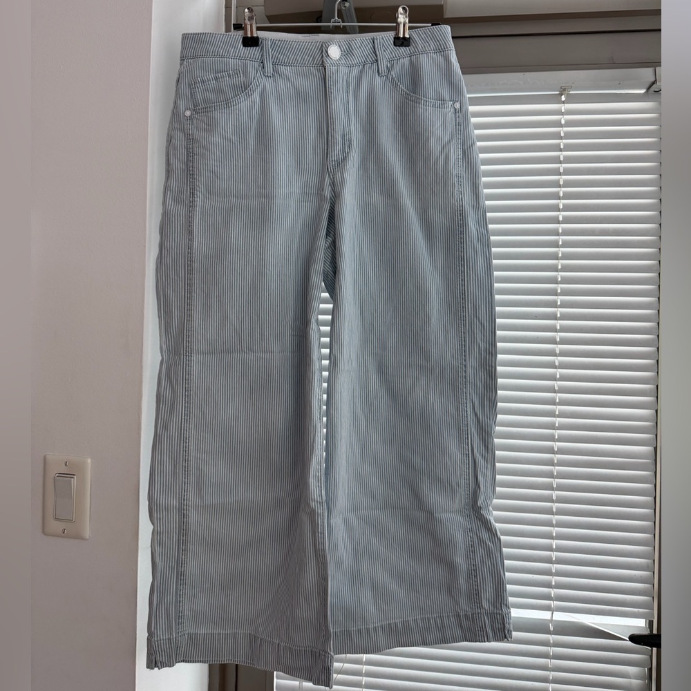 Democracy Blue Striped Cropped Pants